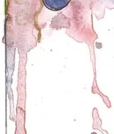 Detail of the Wine Poems cover: rose watercolor running down the page in long drips