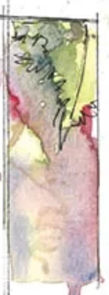 Detail of the Wine Poems cover: a tall panel of green vine leaf in pen line over rose and lilac wash